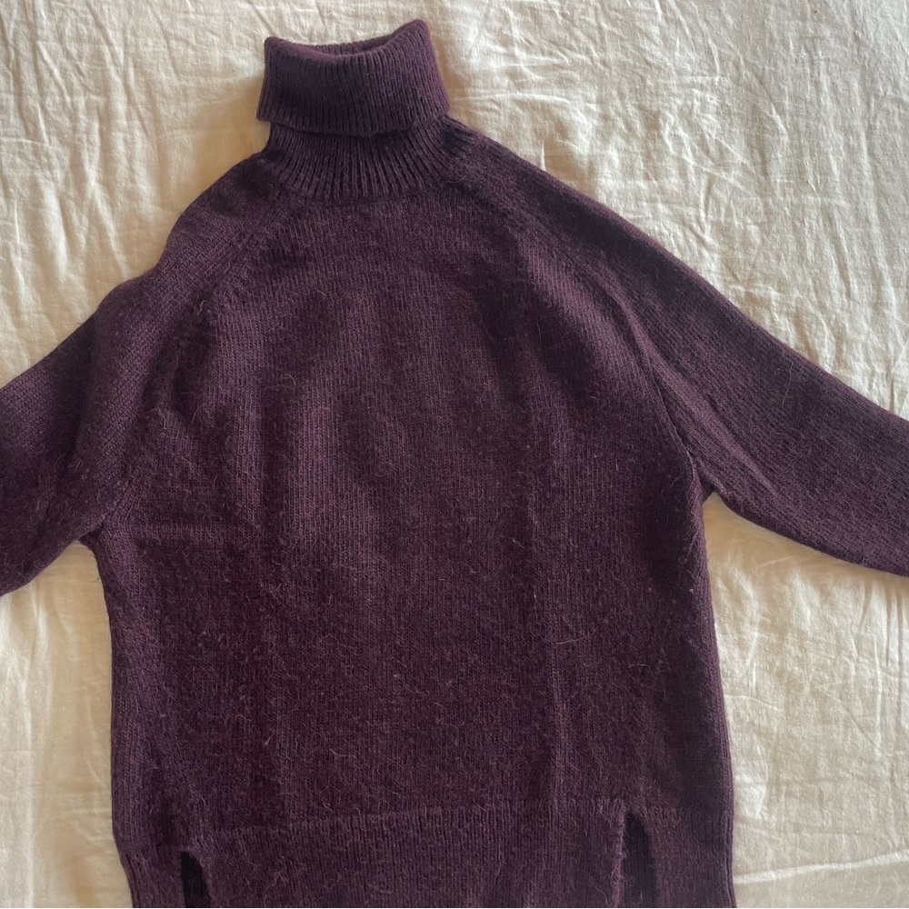 J.Crew turtle neck sweater in a vibrant beet/prune color.